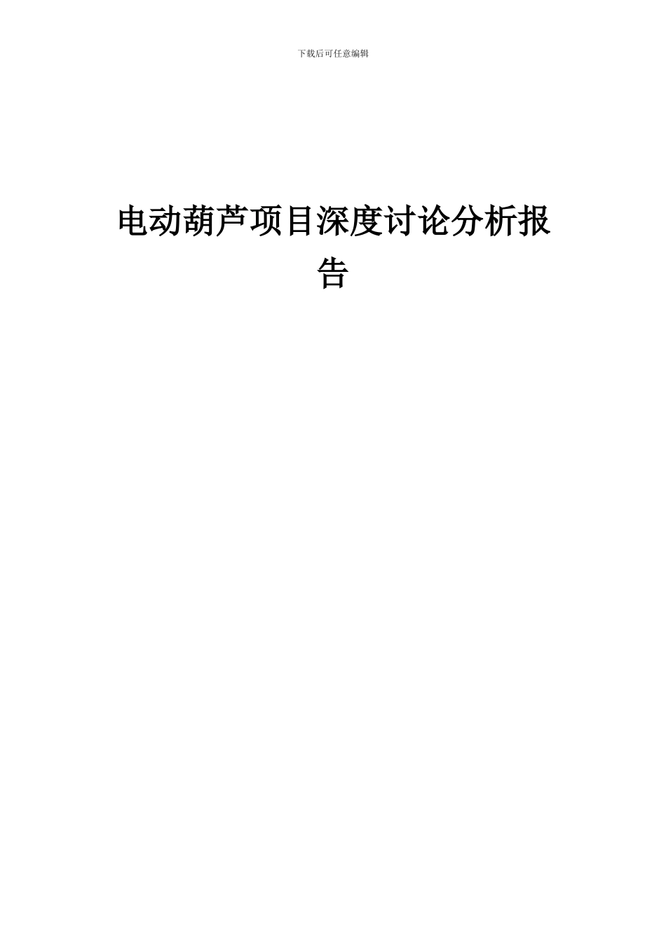 2024年电动葫芦项目深度研究分析报告_第1页