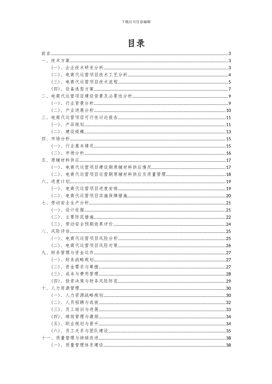 2024年电商代运营项目投资分析及可行性报告_第2页