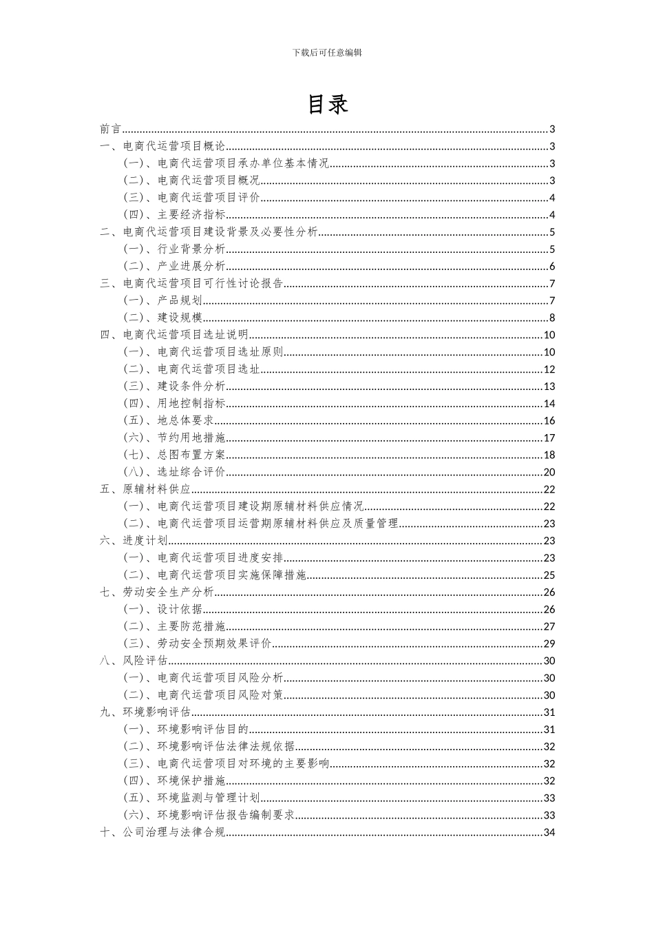 2024年电商代运营项目可行性研究报告_第2页