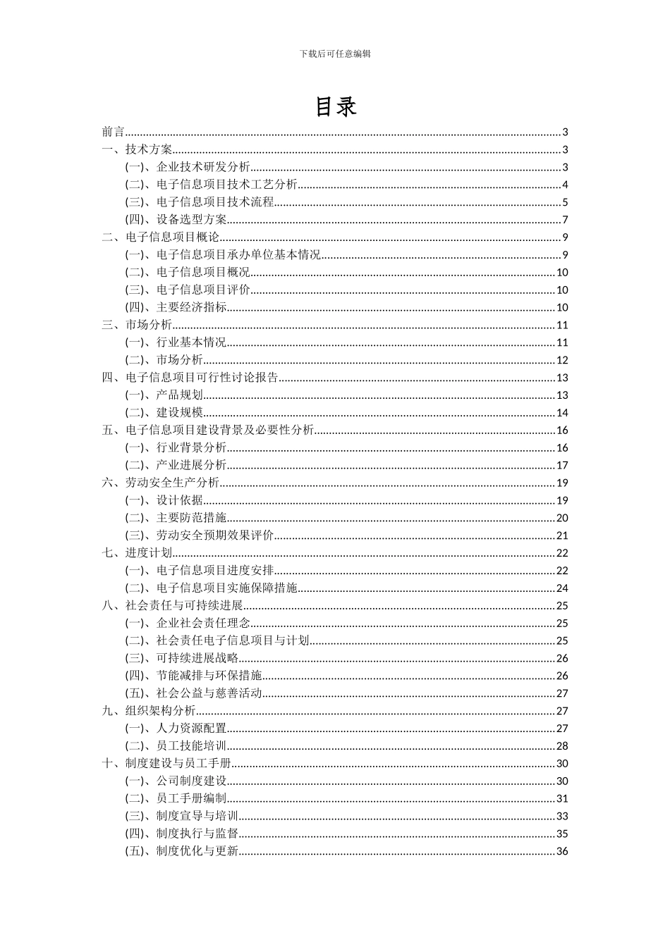 2024年电子信息项目投资分析及可行性报告_第2页