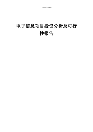 2024年电子信息项目投资分析及可行性报告