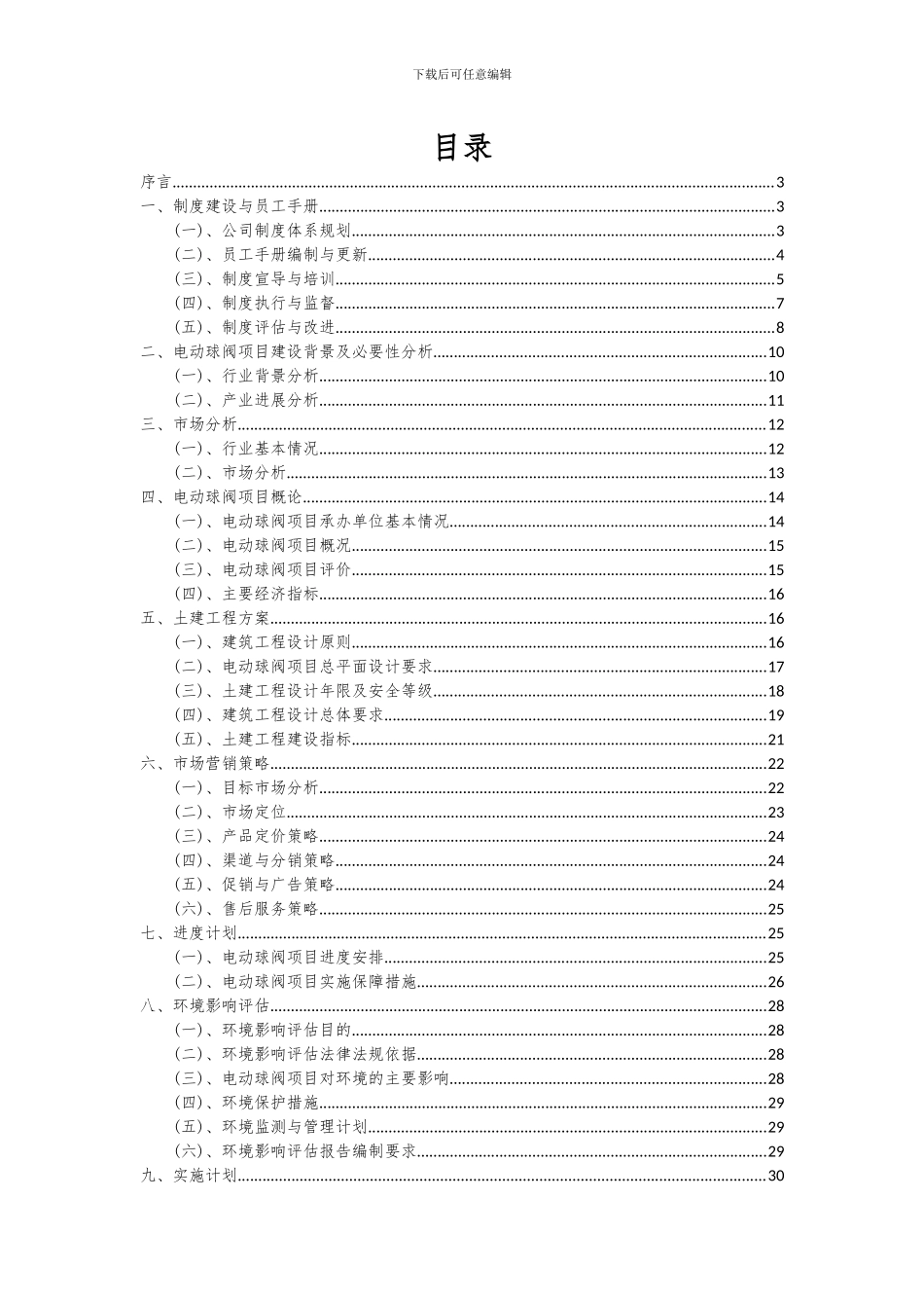 2024年电动球阀项目投资分析及可行性报告_第2页