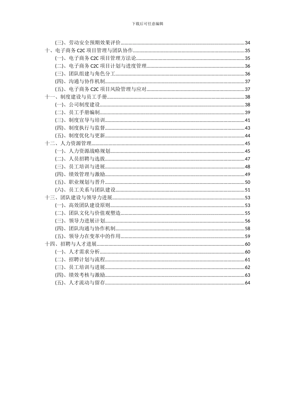 2024年电子商务C2C项目可行性分析报告_第3页