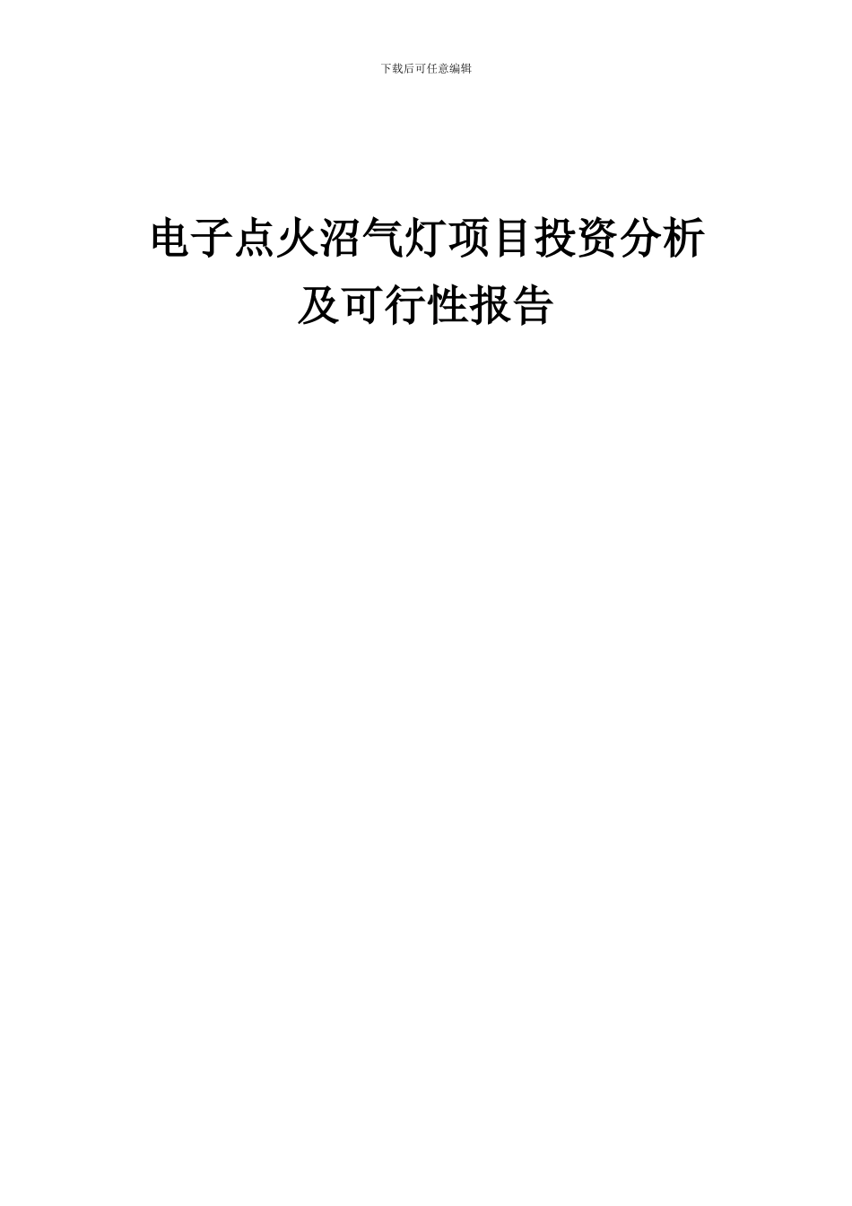 2024年电子点火沼气灯项目投资分析及可行性报告_第1页