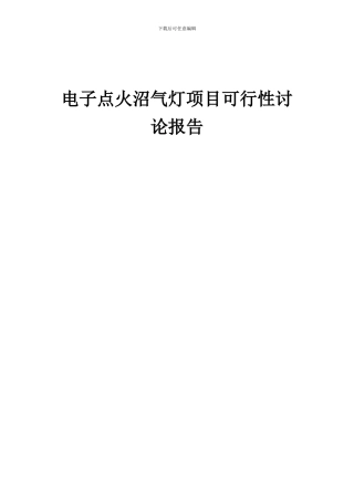 2024年电子点火沼气灯项目可行性研究报告