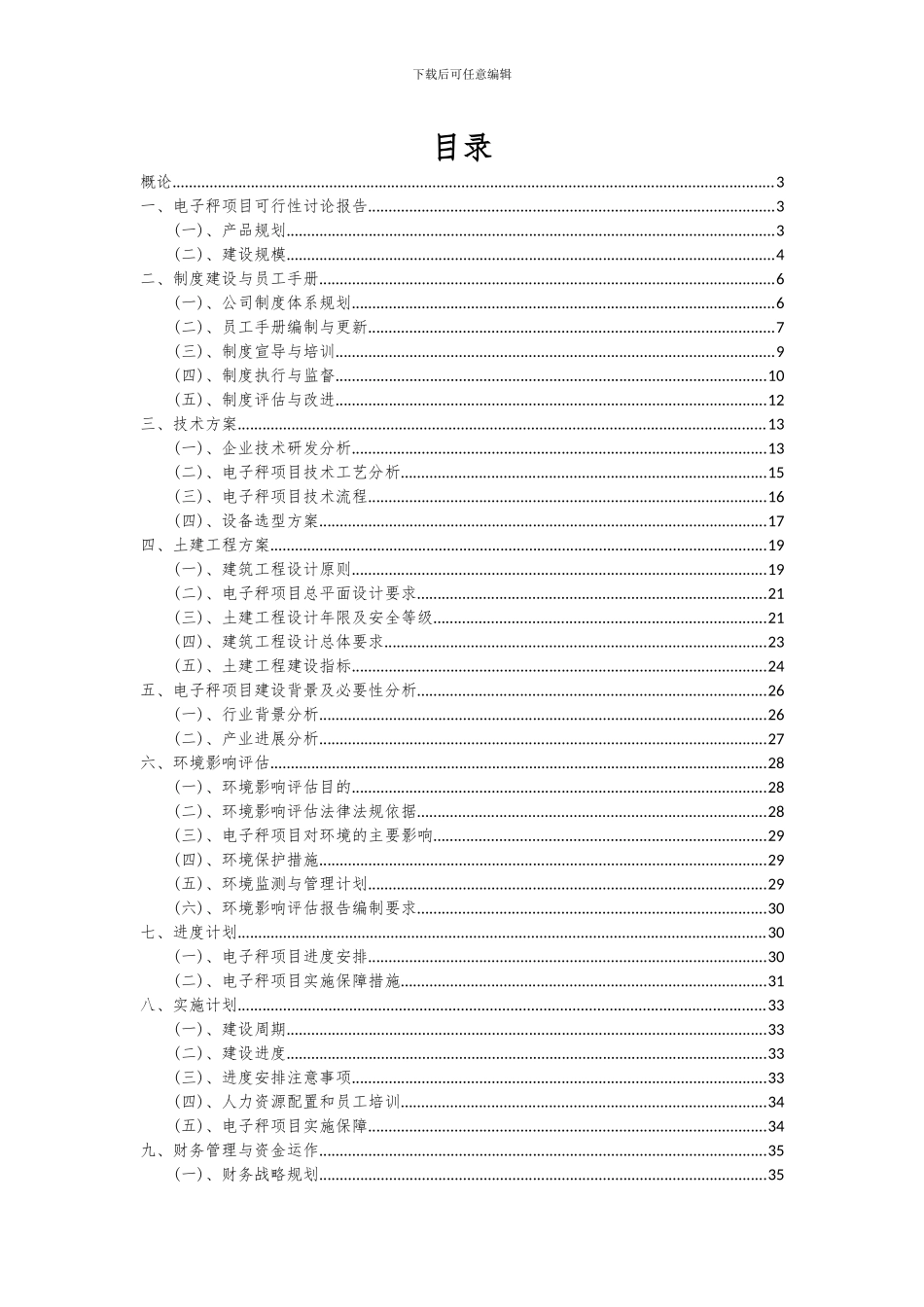 2024年电子秤项目深度研究分析报告_第2页