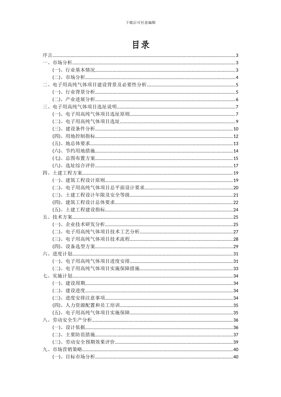 2024年电子用高纯气体项目深度研究分析报告_第2页