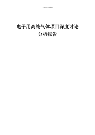 2024年电子用高纯气体项目深度研究分析报告