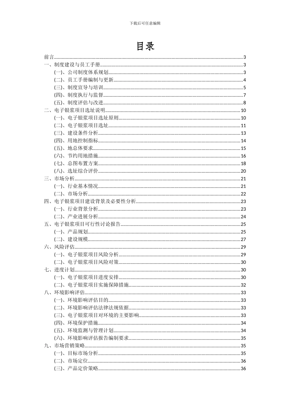 2024年电子银浆项目深度研究分析报告_第2页