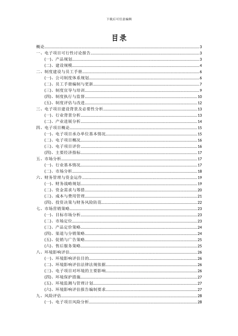 2024年电子项目投资分析及可行性报告_第2页