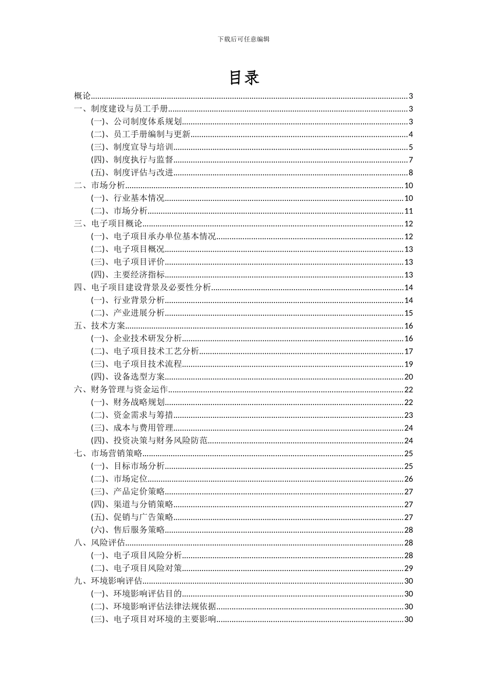 2024年电子项目可行性分析报告_第2页