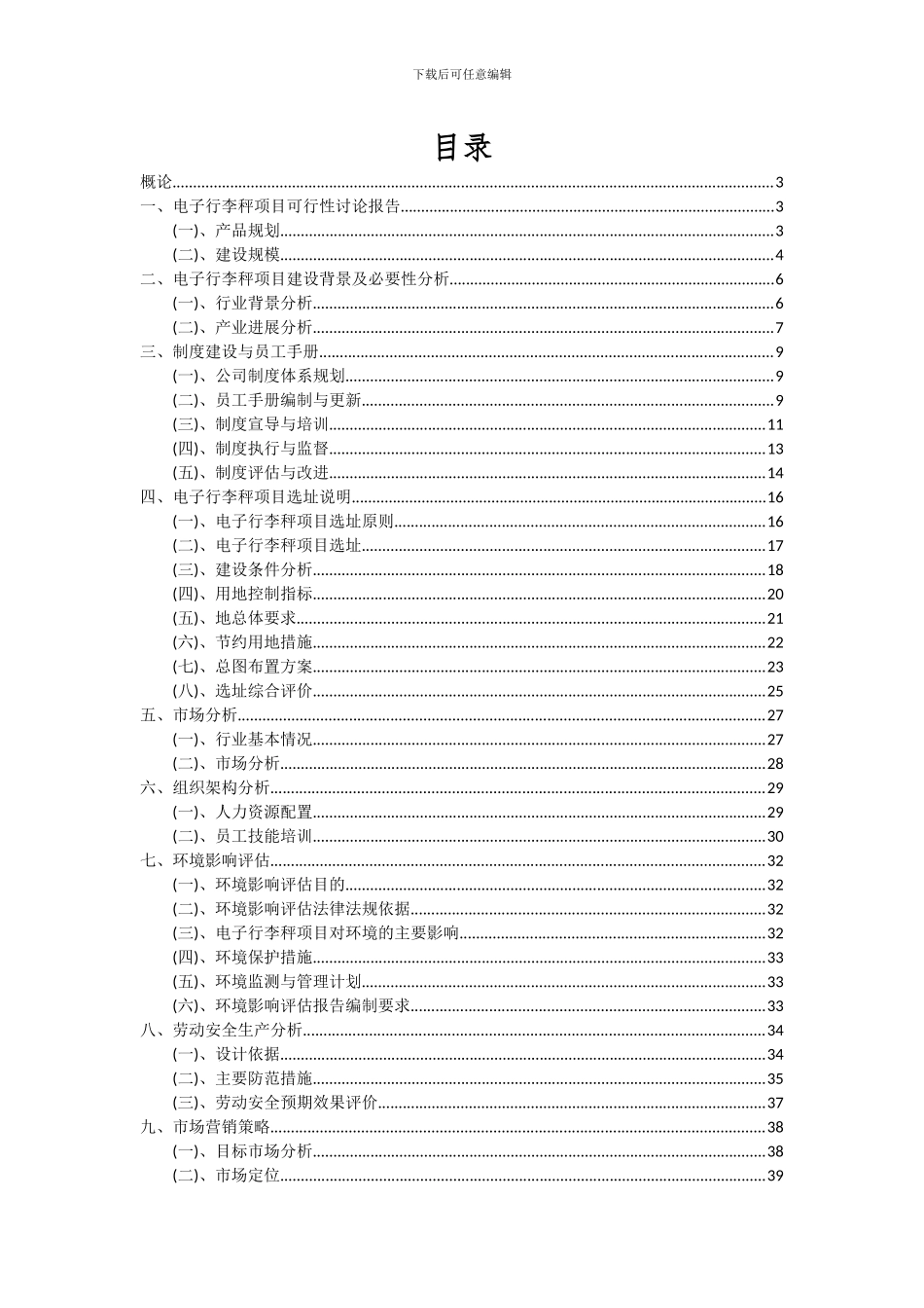 2024年电子行李秤项目可行性研究报告_第2页