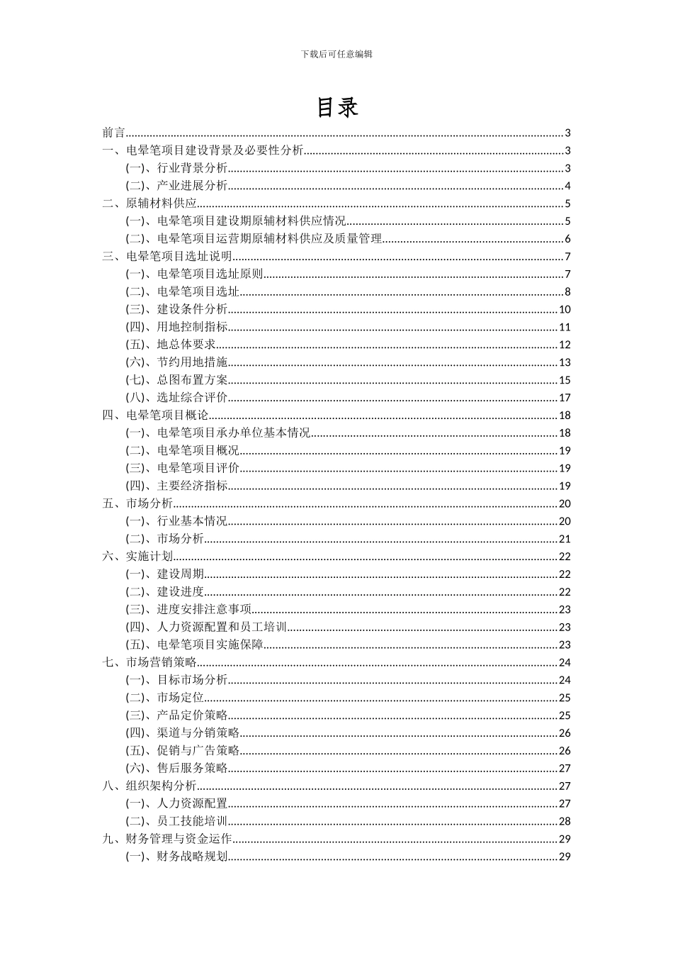 2024年电晕笔项目投资分析及可行性报告_第2页