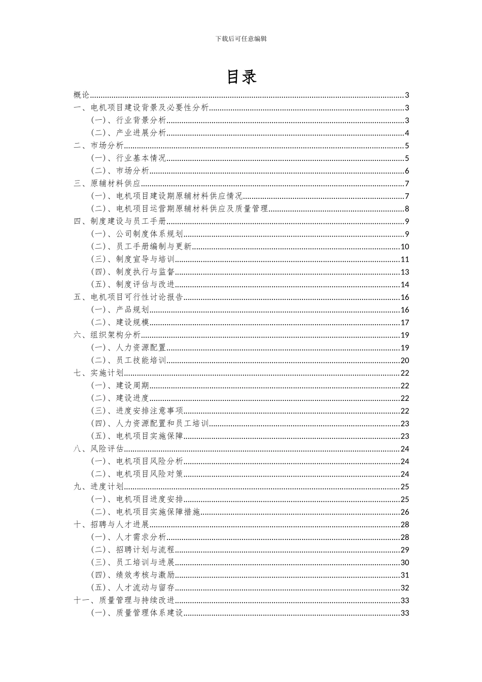 2024年电机项目可行性分析报告_第2页