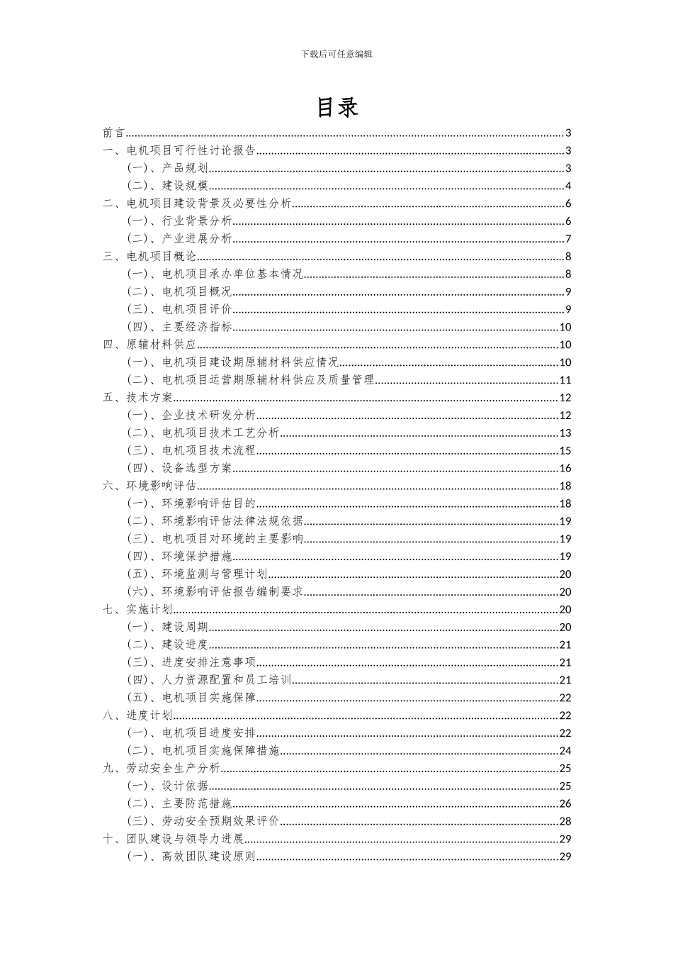 2024年电机项目深度研究分析报告_第2页
