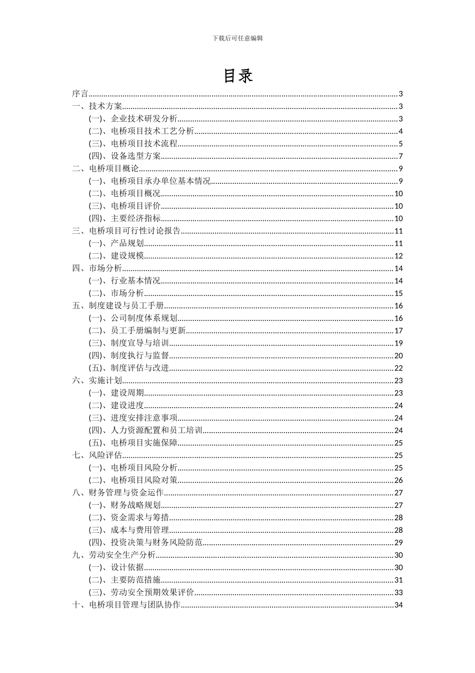 2024年电桥项目深度研究分析报告_第2页