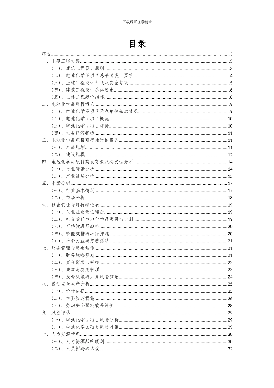 2024年电池化学品项目深度研究分析报告_第2页