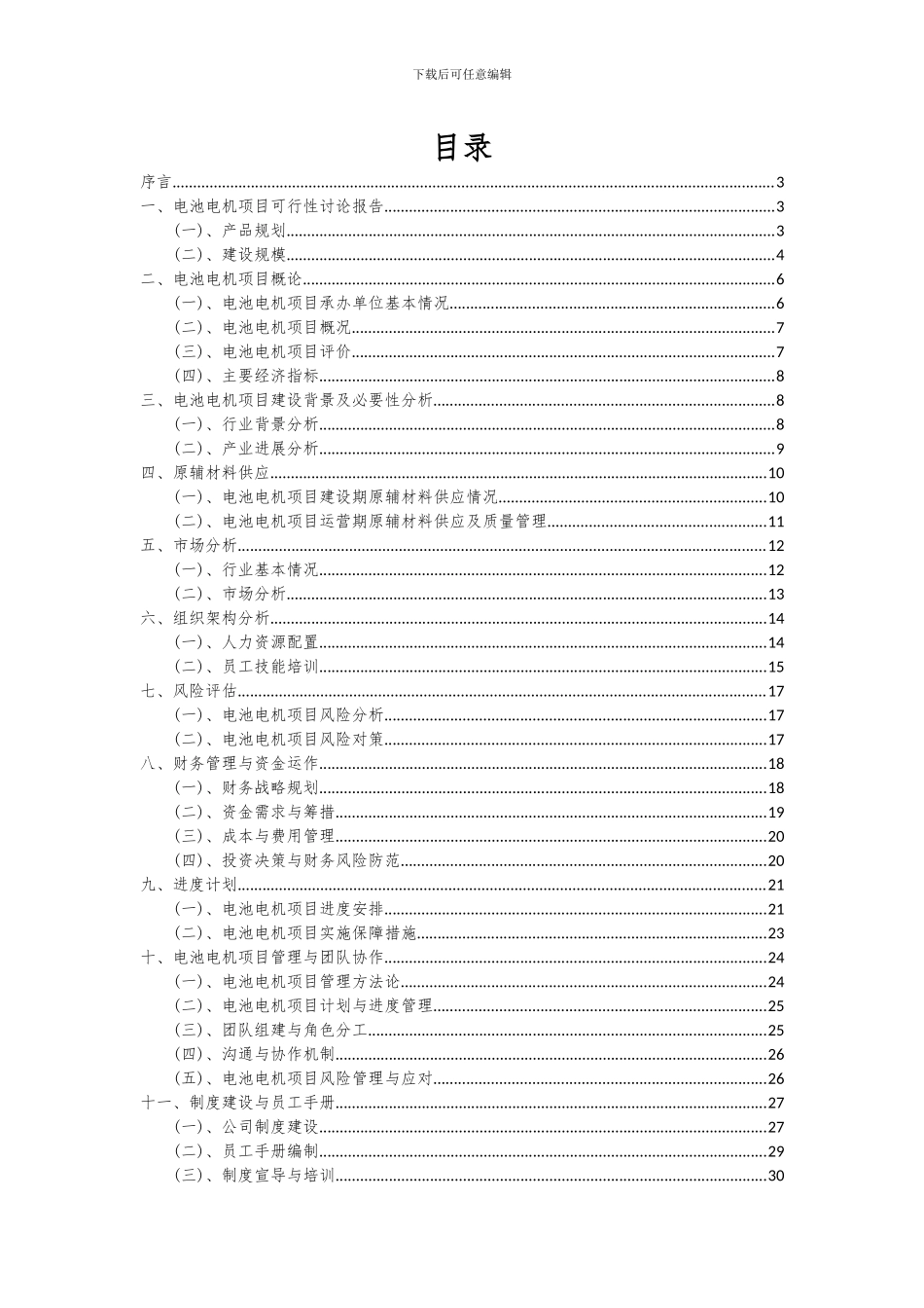 2024年电池电机项目投资分析及可行性报告_第2页