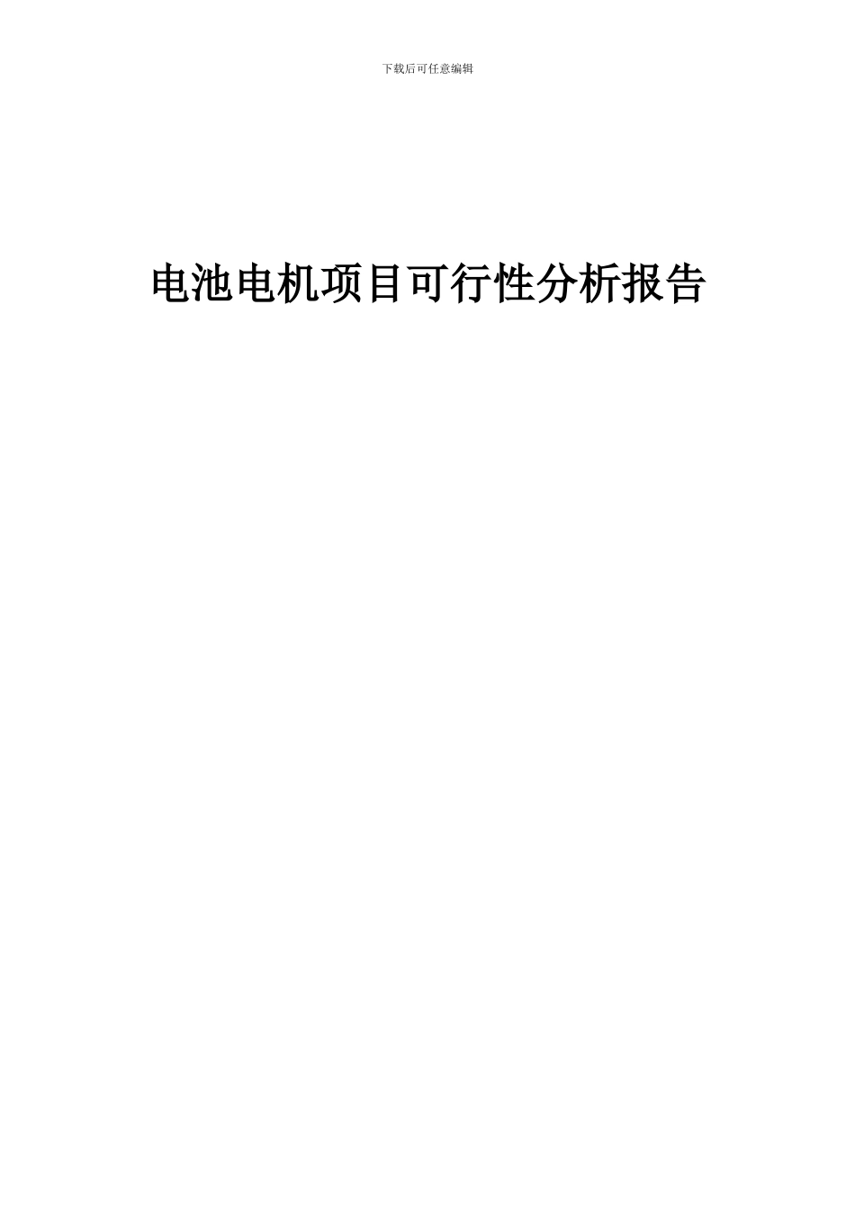 2024年电池电机项目可行性分析报告_第1页