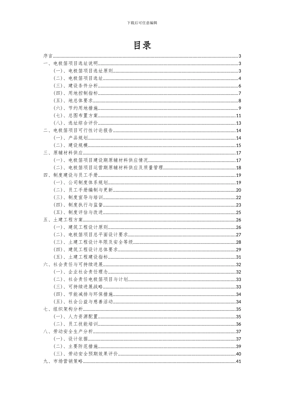 2024年电极箔项目可行性研究报告_第2页