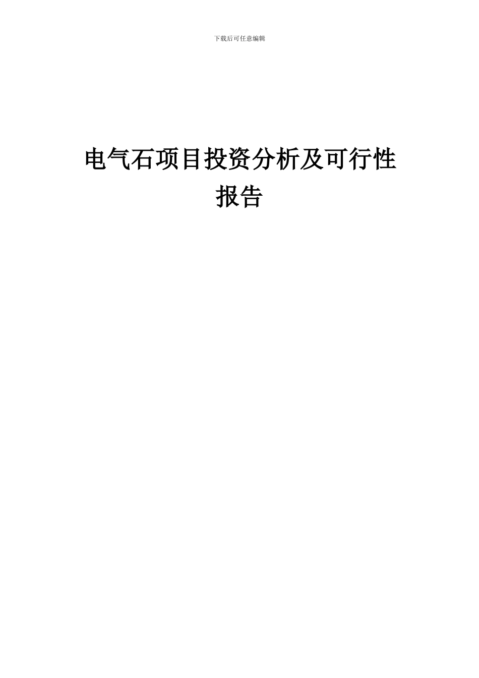 2024年电气石项目投资分析及可行性报告_第1页