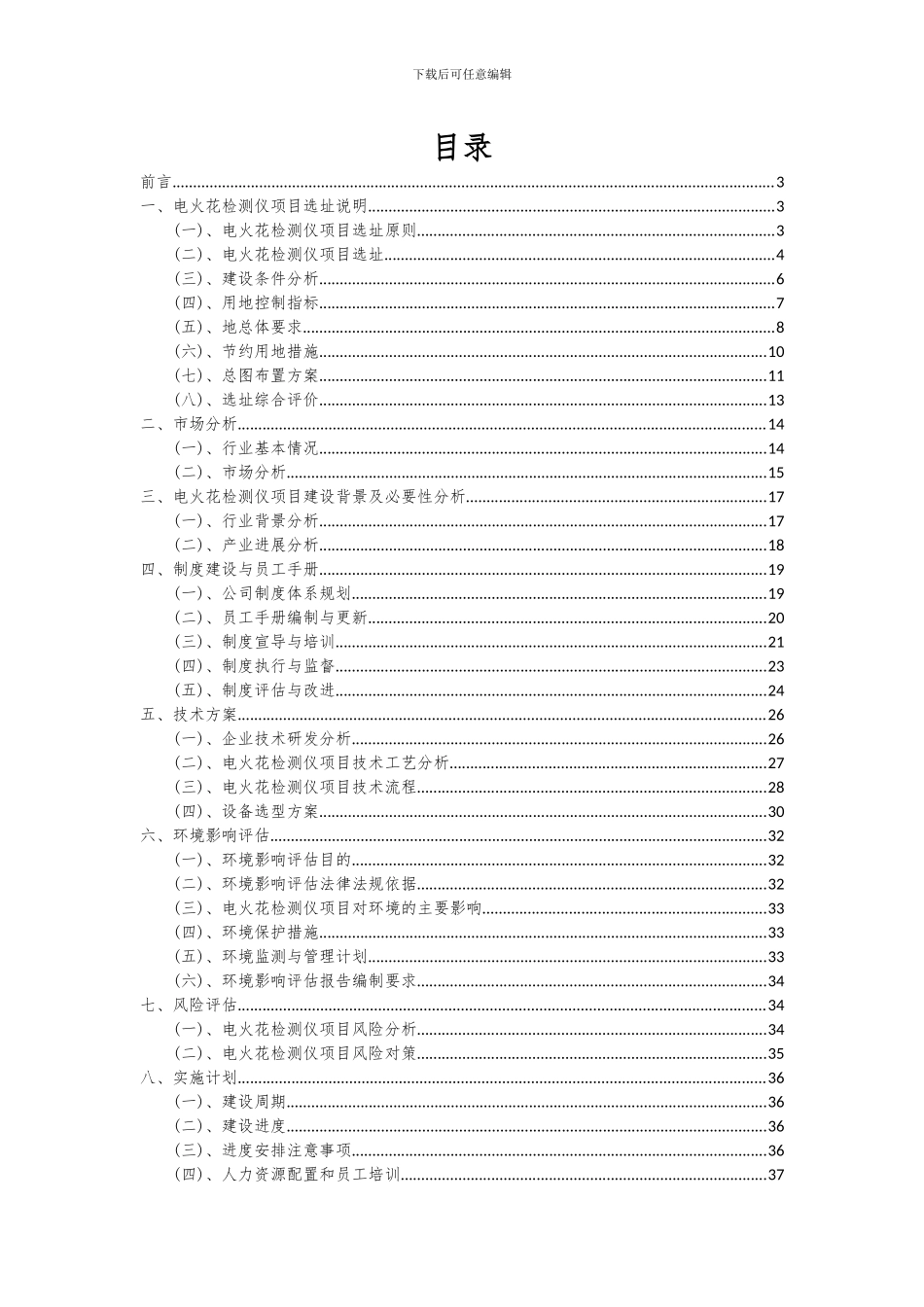 2024年电火花检测仪项目可行性研究报告_第2页