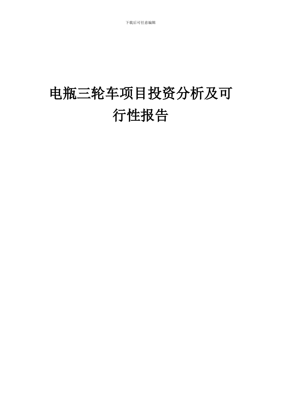 2024年电瓶三轮车项目投资分析及可行性报告_第1页