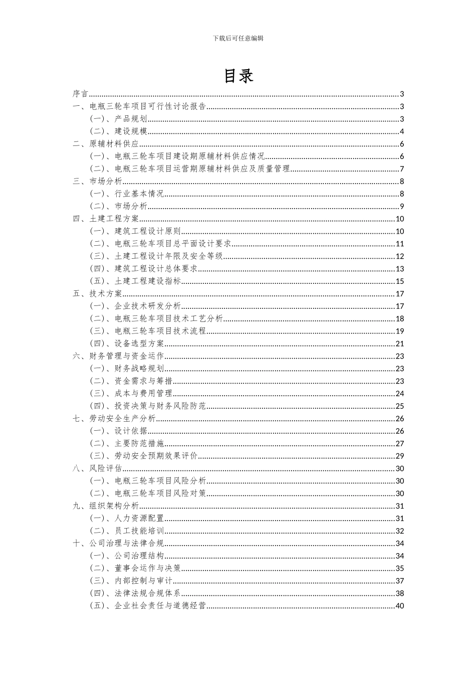 2024年电瓶三轮车项目投资分析及可行性报告_第2页