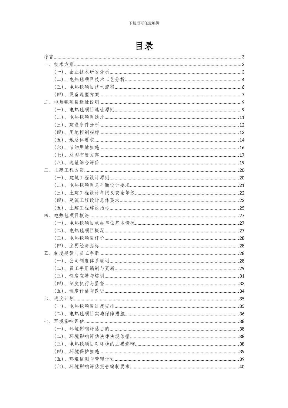 2024年电热毯项目投资分析及可行性报告_第2页