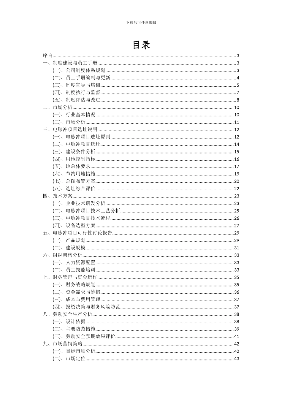2024年电脉冲项目可行性分析报告_第2页
