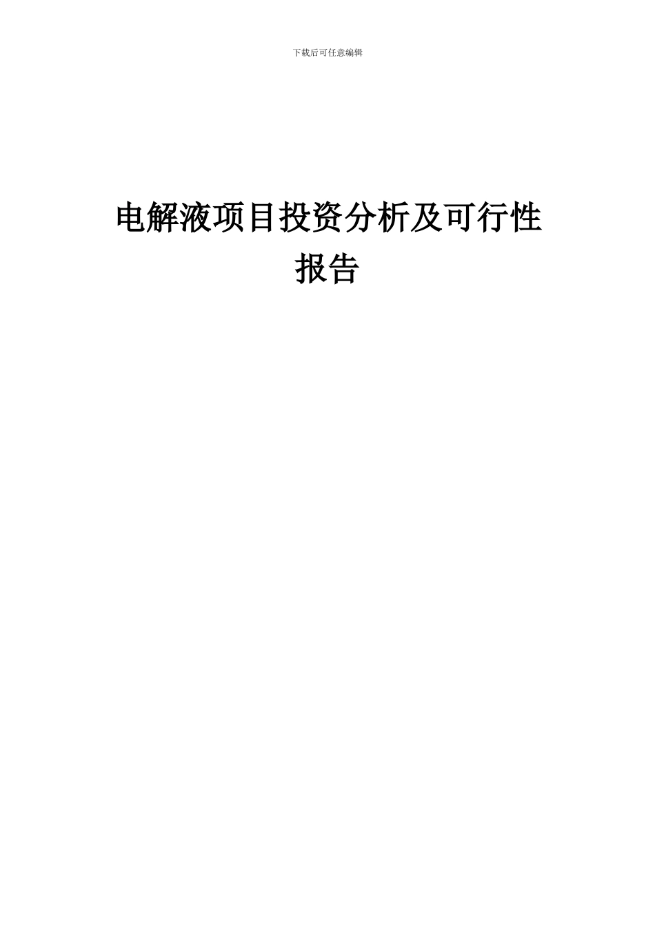 2024年电解液项目投资分析及可行性报告_第1页