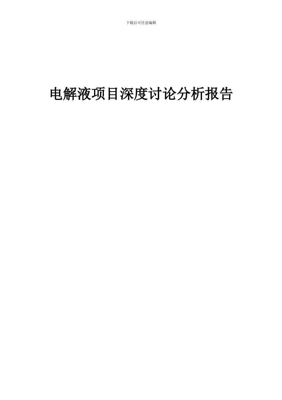 2024年电解液项目深度研究分析报告_第1页