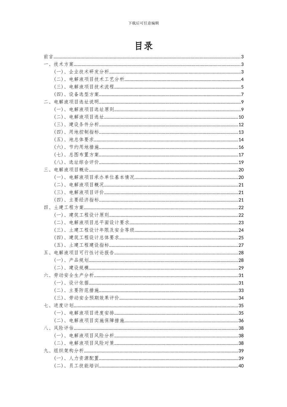 2024年电解液项目深度研究分析报告_第2页