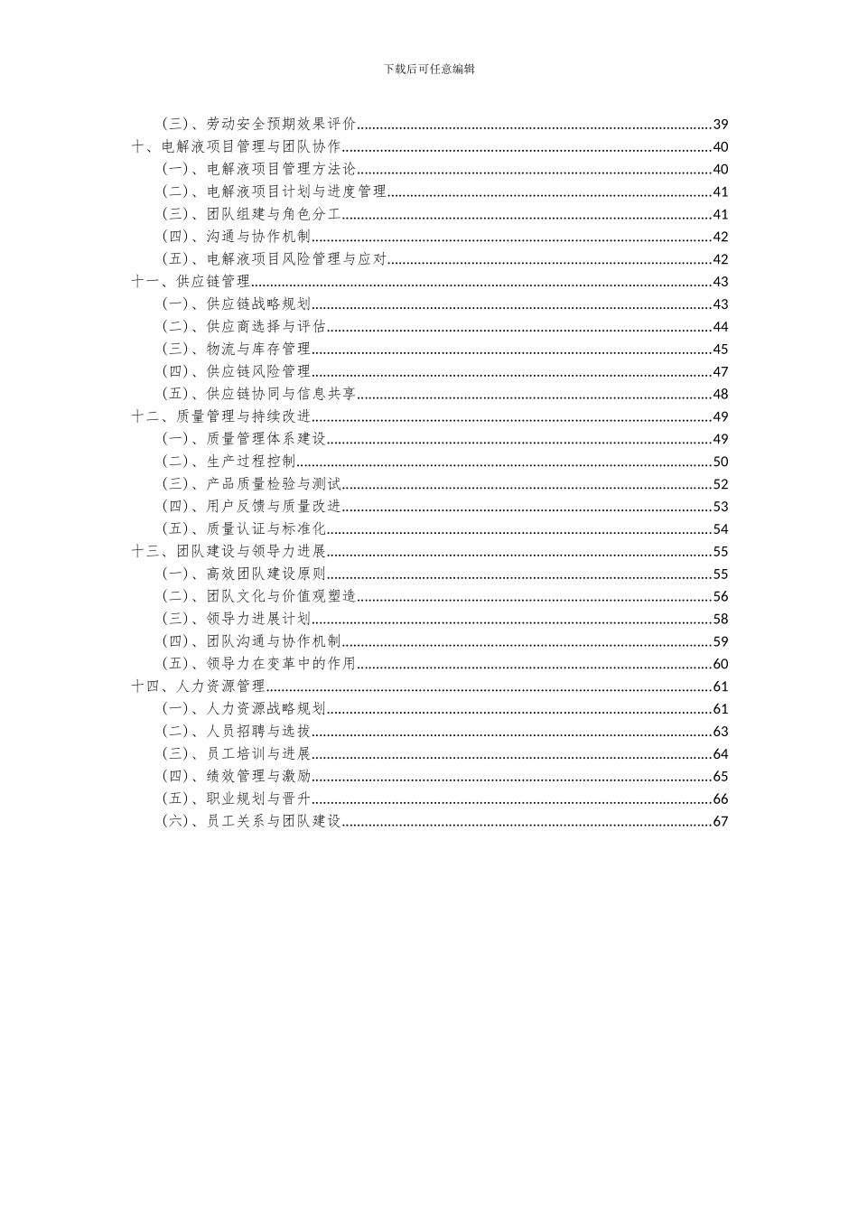 2024年电解液项目可行性分析报告_第3页