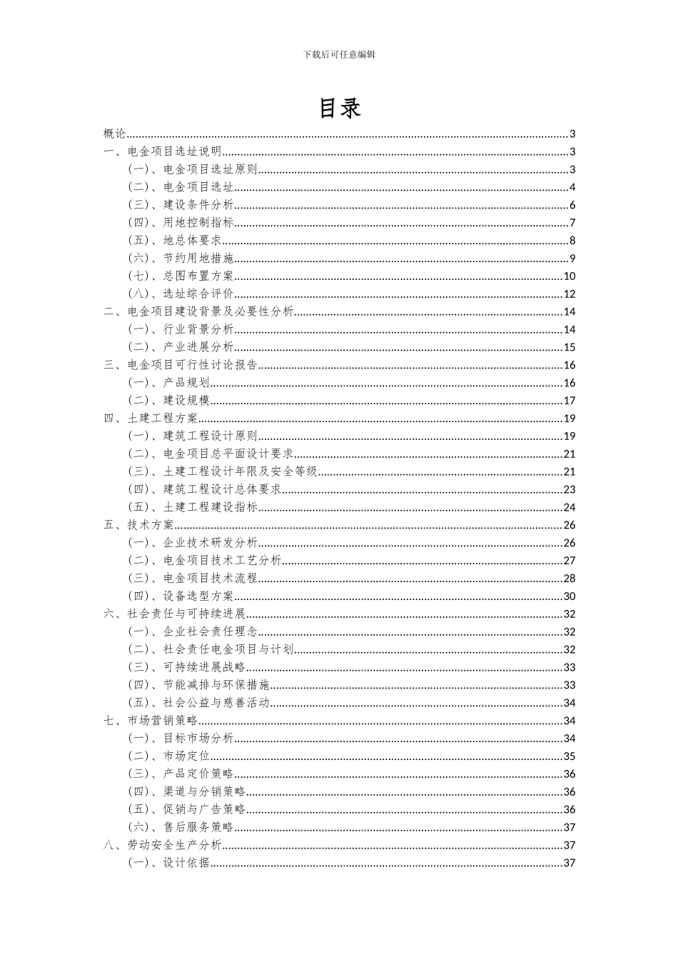 2024年电金项目深度研究分析报告_第2页