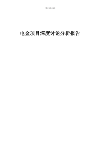 2024年电金项目深度研究分析报告