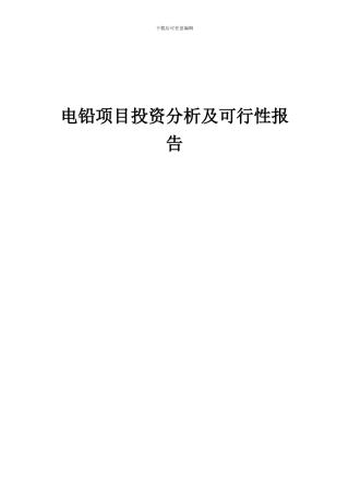 2024年电铅项目投资分析及可行性报告