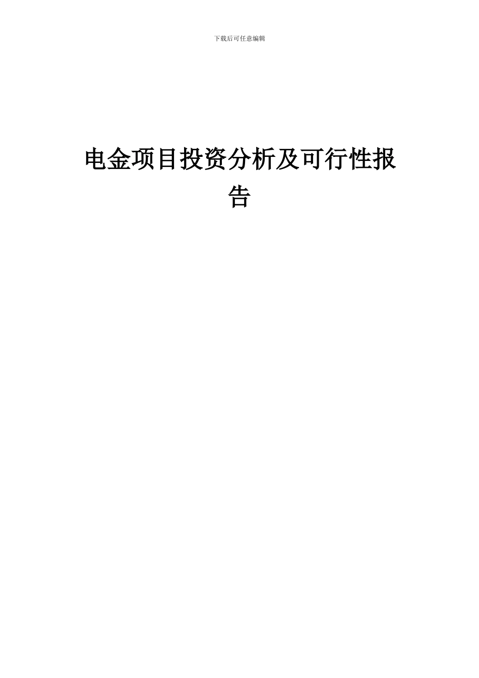 2024年电金项目投资分析及可行性报告_第1页