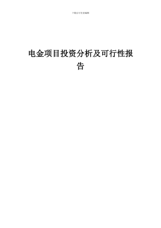 2024年电金项目投资分析及可行性报告