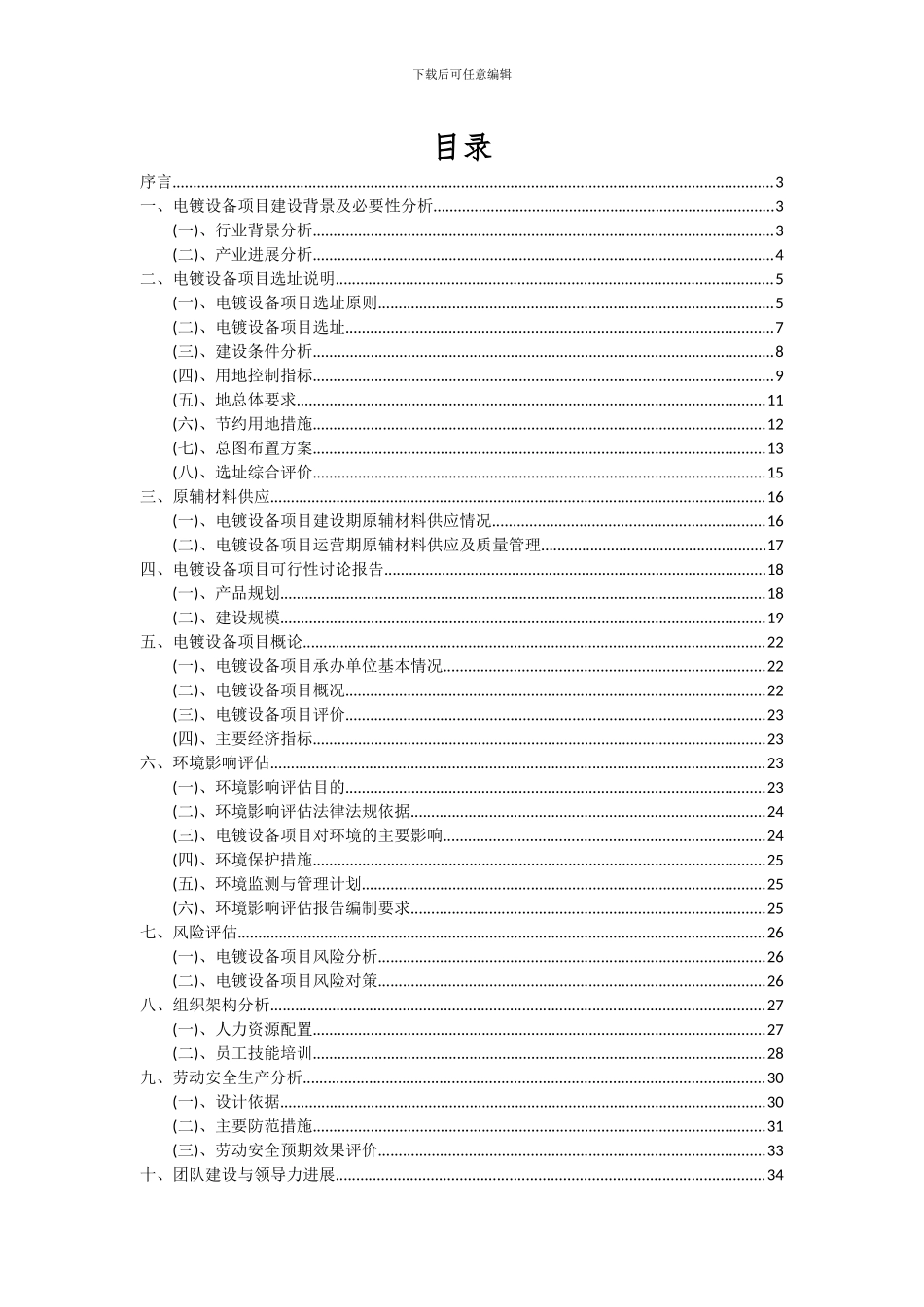 2024年电镀设备项目深度研究分析报告_第2页