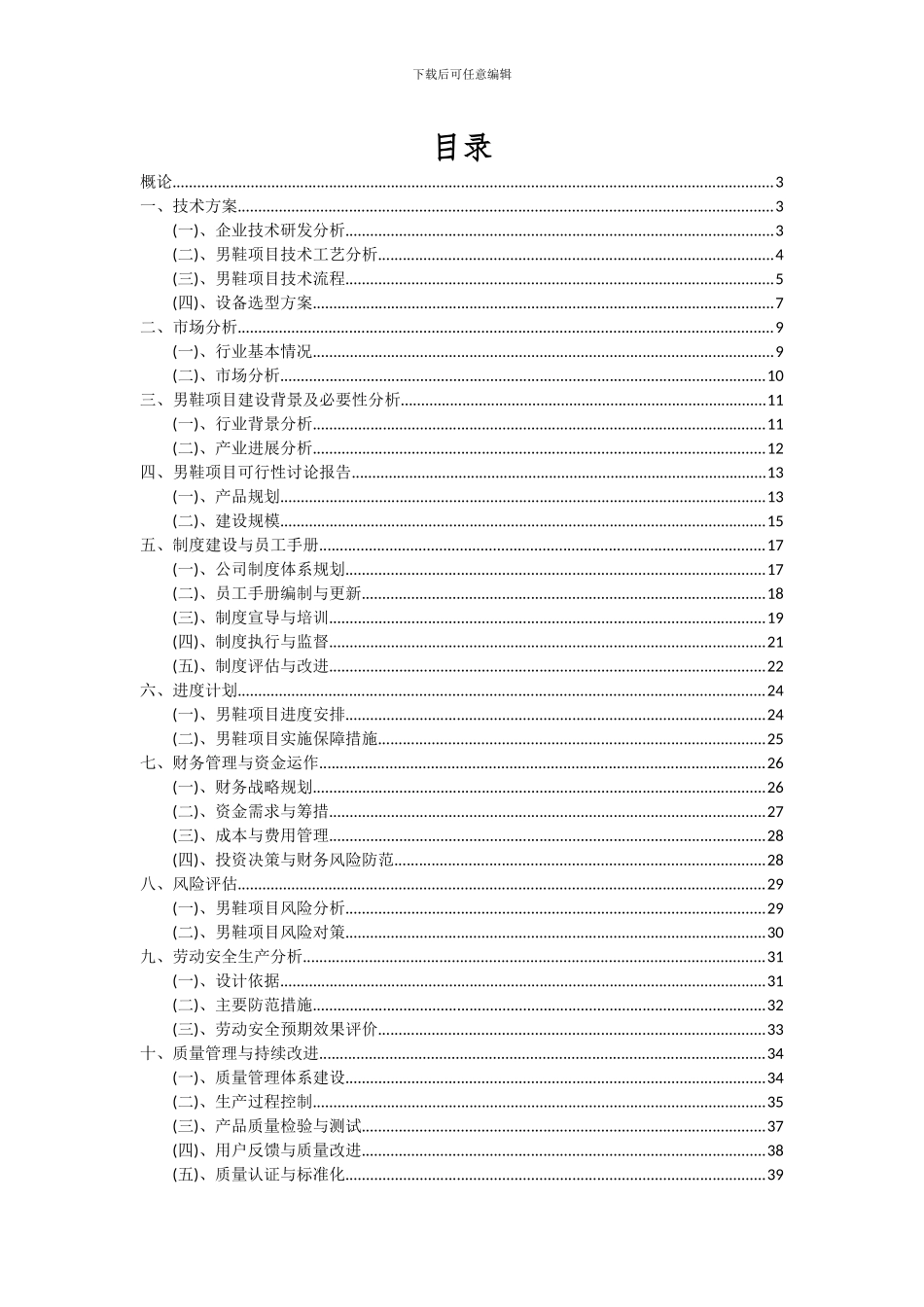 2024年男鞋项目可行性研究报告_第2页
