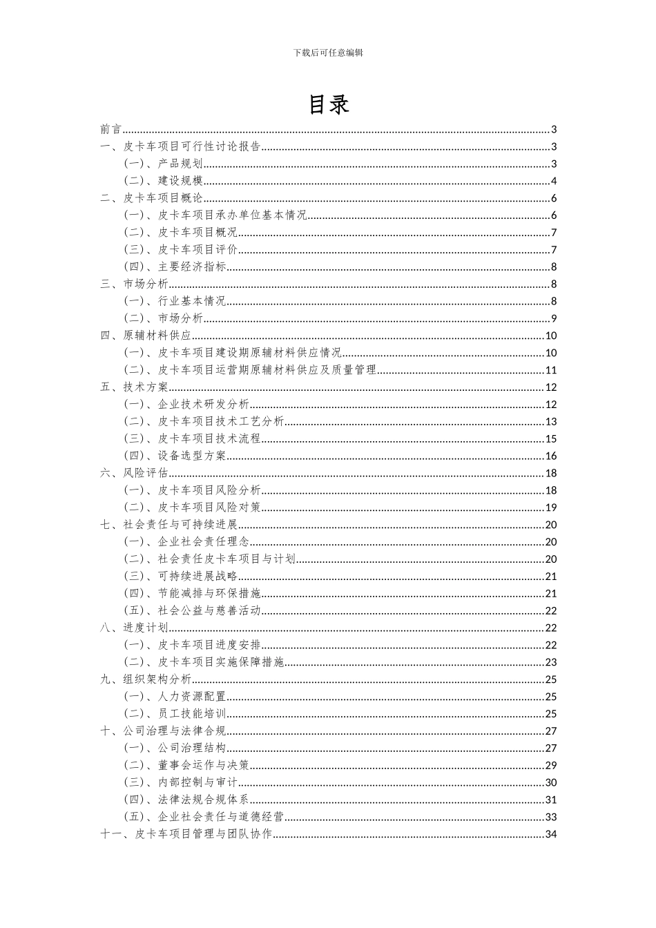 2024年皮卡车项目可行性分析报告_第2页