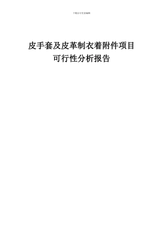 2024年皮手套及皮革制衣着附件项目可行性分析报告