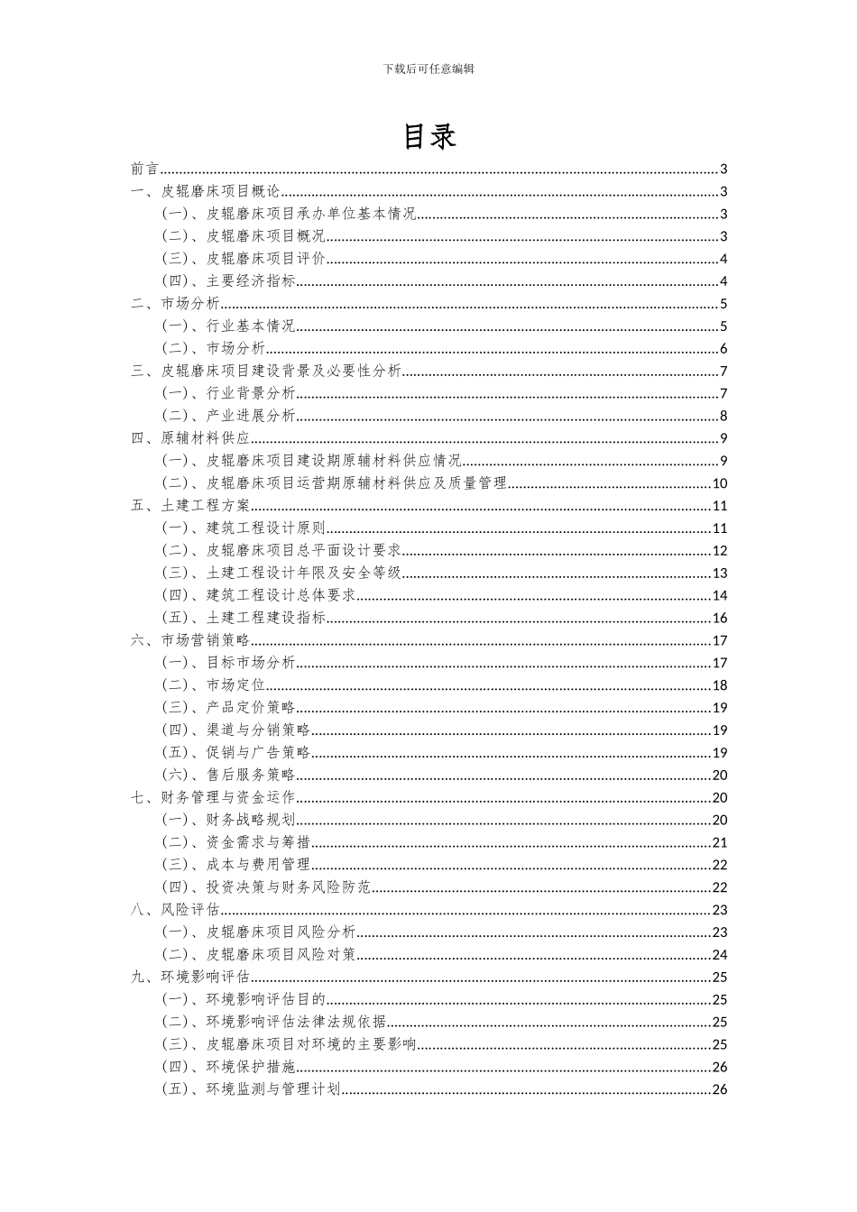 2024年皮辊磨床项目深度研究分析报告_第2页