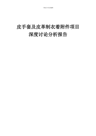2024年皮手套及皮革制衣着附件项目深度研究分析报告