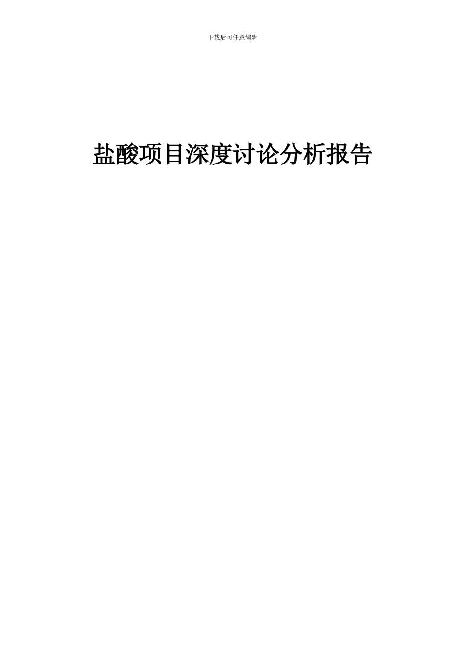2024年盐酸项目深度研究分析报告_第1页