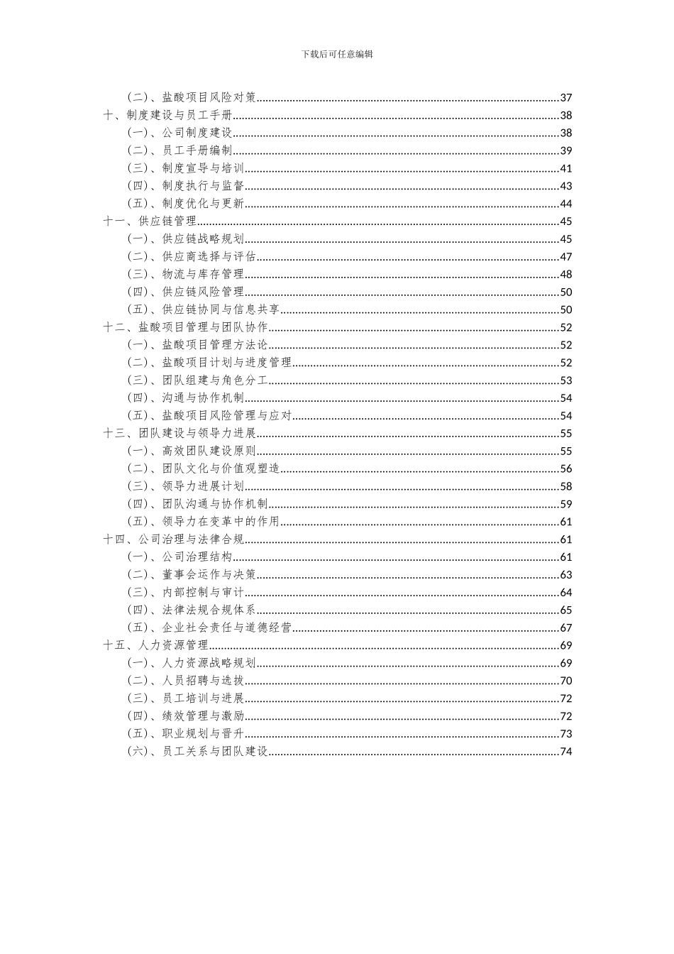 2024年盐酸项目深度研究分析报告_第3页