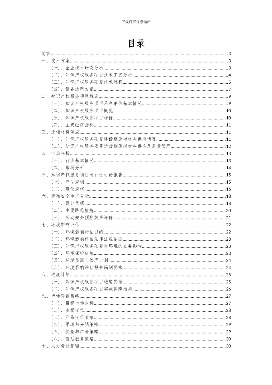 2024年知识产权服务项目可行性研究报告_第2页