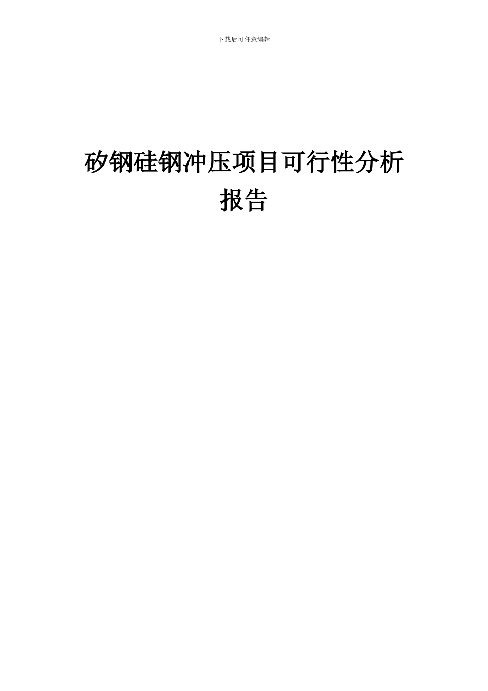 2024年矽钢硅钢冲压项目可行性分析报告_第1页