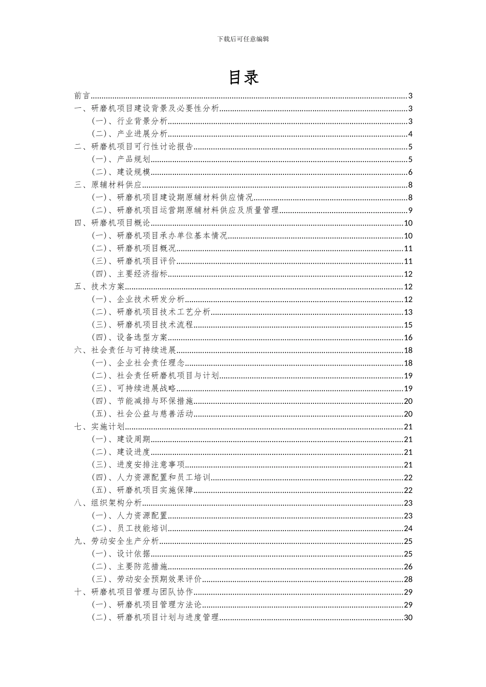 2024年研磨机项目可行性研究报告_第2页